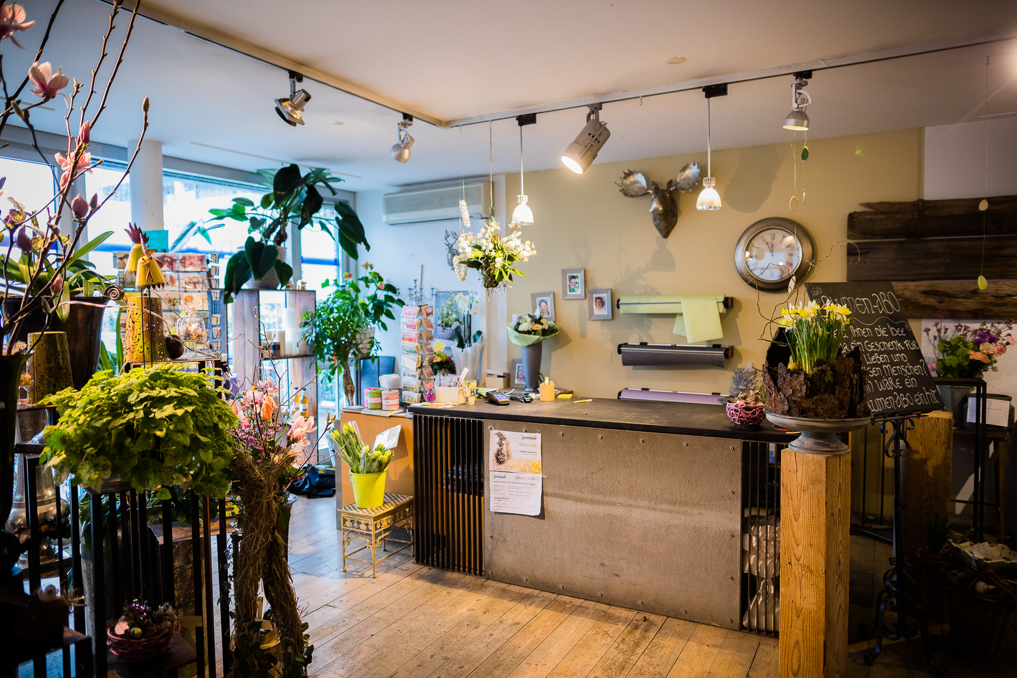 Export x3 5D4 9422 Businessauftrag 2017 Blattform Aarau